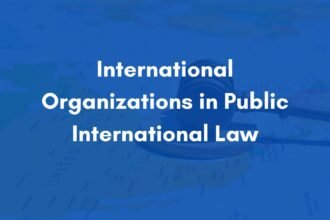 International Organizations in Public International Law