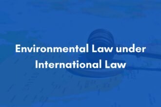Environmental Law under International Law