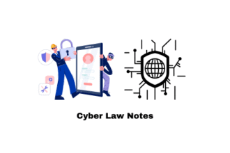 Cyber Law Notes