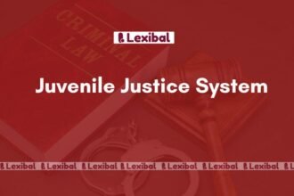 Juvenile Justice System