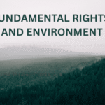 Fundamental Rights and Environment
