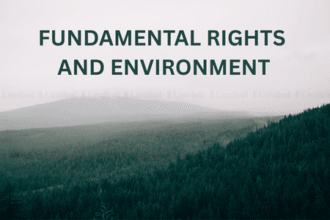 Fundamental Rights and Environment