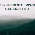 Environmental Impact Assessment (EIA)