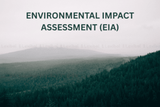 Environmental Impact Assessment (EIA)