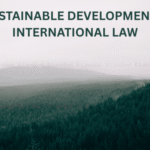 Sustainable Development & International Law