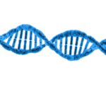 Bhauri Devi v. Bila Devi & Ors.: High Court Mandates DNA Verification in "Rarest of Rare" Maternity Dispute