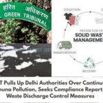 NGT Pulls Up Delhi Authorities Over Continued Yamuna Pollution, Seeks Compliance