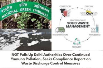 NGT Pulls Up Delhi Authorities Over Continued Yamuna Pollution, Seeks Compliance