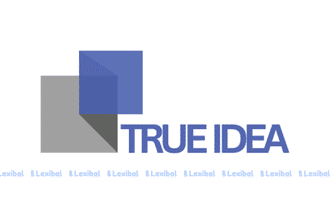 Virtual Legal Internship at True Idea Legal