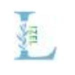 Apply for the IZEL Legal Research, Analysis and Writing Internship 2026 for practical legal research exposure.