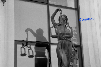 Appeals and Adjudication under Customs Law