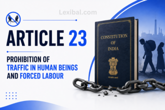 Article 23 – Prohibition of Traffic in Human Beings and Forced Labour
