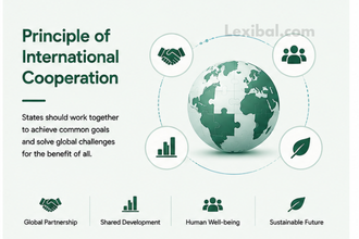 Principle of International Cooperation